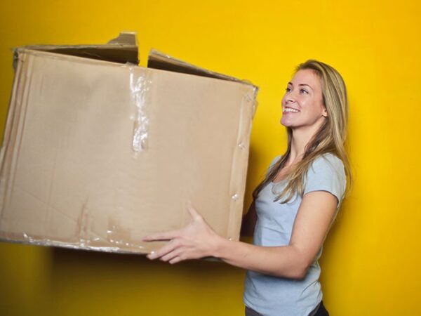 carrying-box-moving-cubic-storage