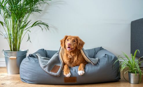 Feature Image